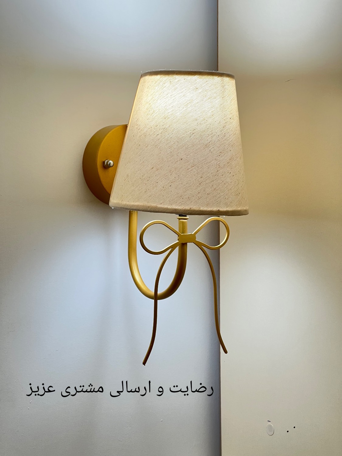 دیوارکوب مدرن لاکچری شیددار فلزی D161
