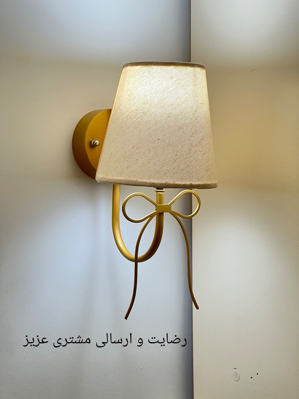 دیوارکوب مدرن لاکچری شیددار فلزی D161
