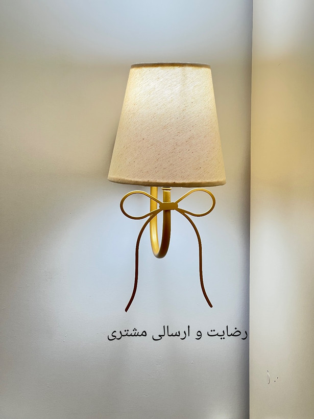 دیوارکوب مدرن لاکچری شیددار فلزی D161